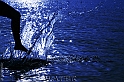 Blu (Blue)